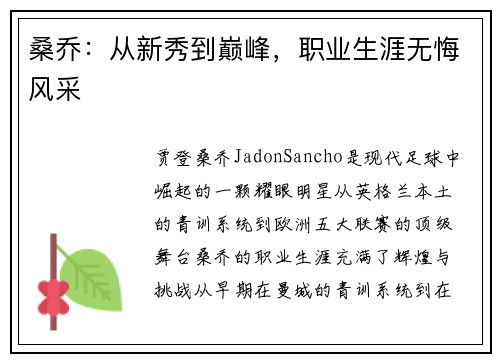桑乔：从新秀到巅峰，职业生涯无悔风采